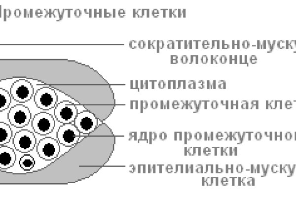 Kraken зеркало даркнет