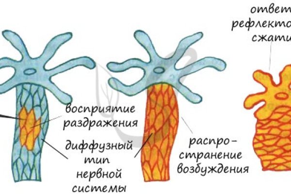 Ссылка на сайт кракен в тор