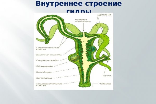 Ссылка кракен vk2 top