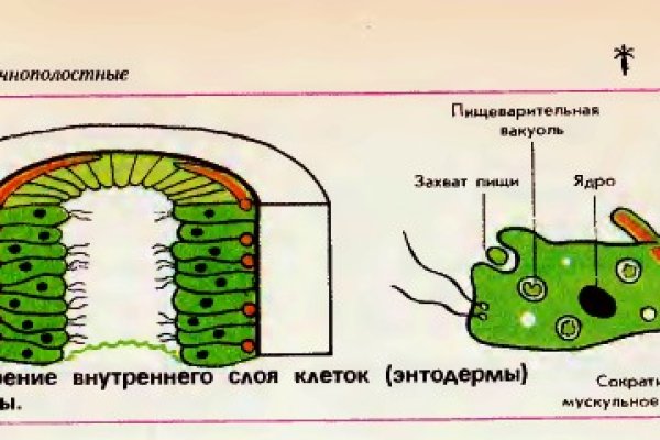 Кракен без впн