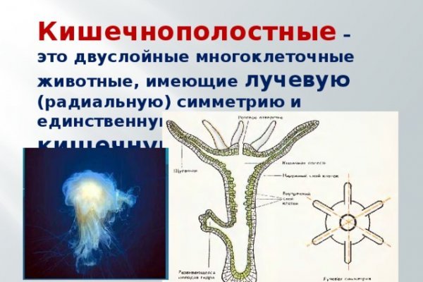 Ссылка на кракен тор kraken2 4aa337